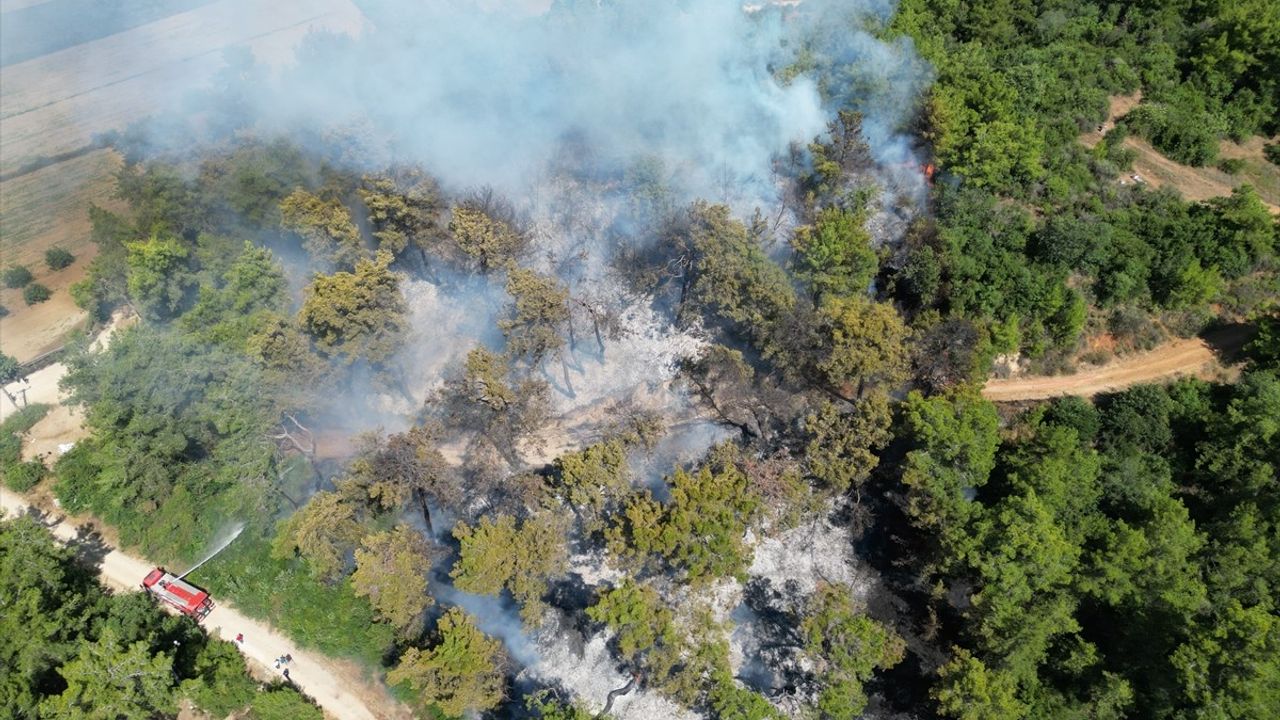 Antalya'nın Manavgat İlçesindeki Orman Yangını Kontrol Altına Alındı