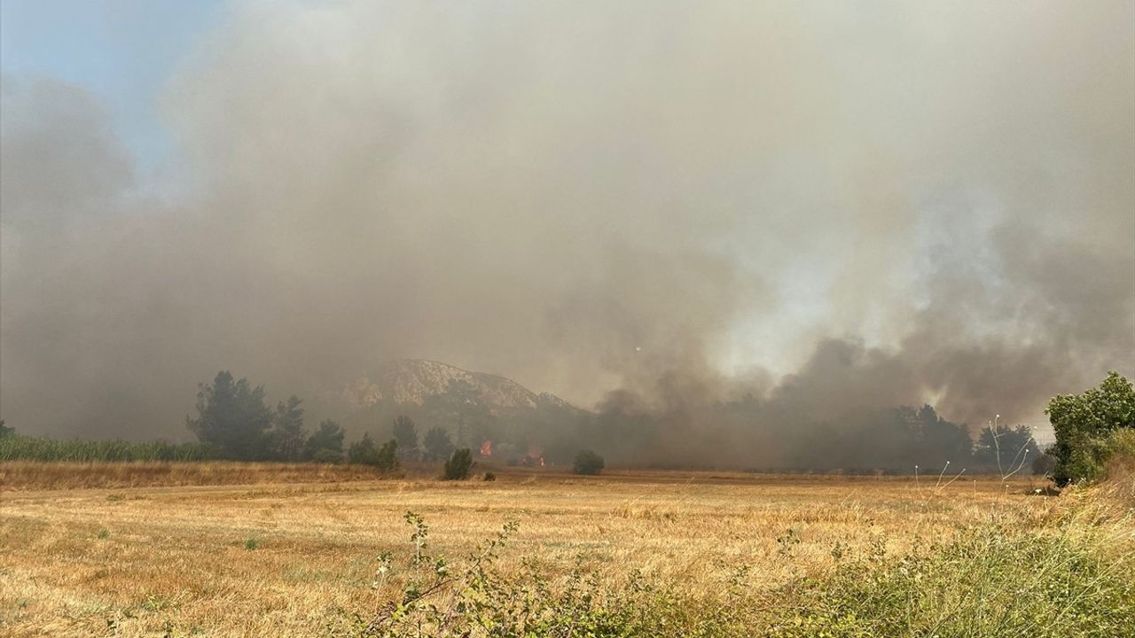 Antalya'nın Serik İlçesinde Orman Yangınına Hızla Müdahale Ediliyor