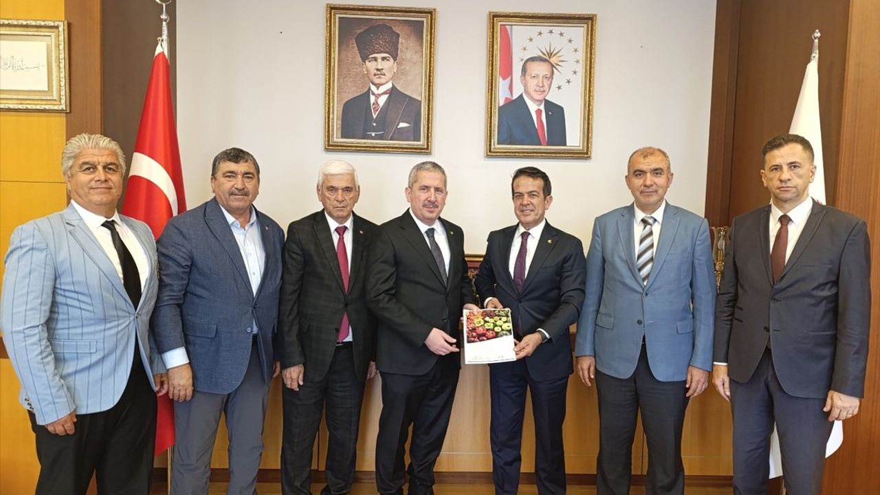 Antalya Tarım Konseyi, Yaş Meyve ve Sebze Sektörü için Kapsamlı Rapor Hazırladı