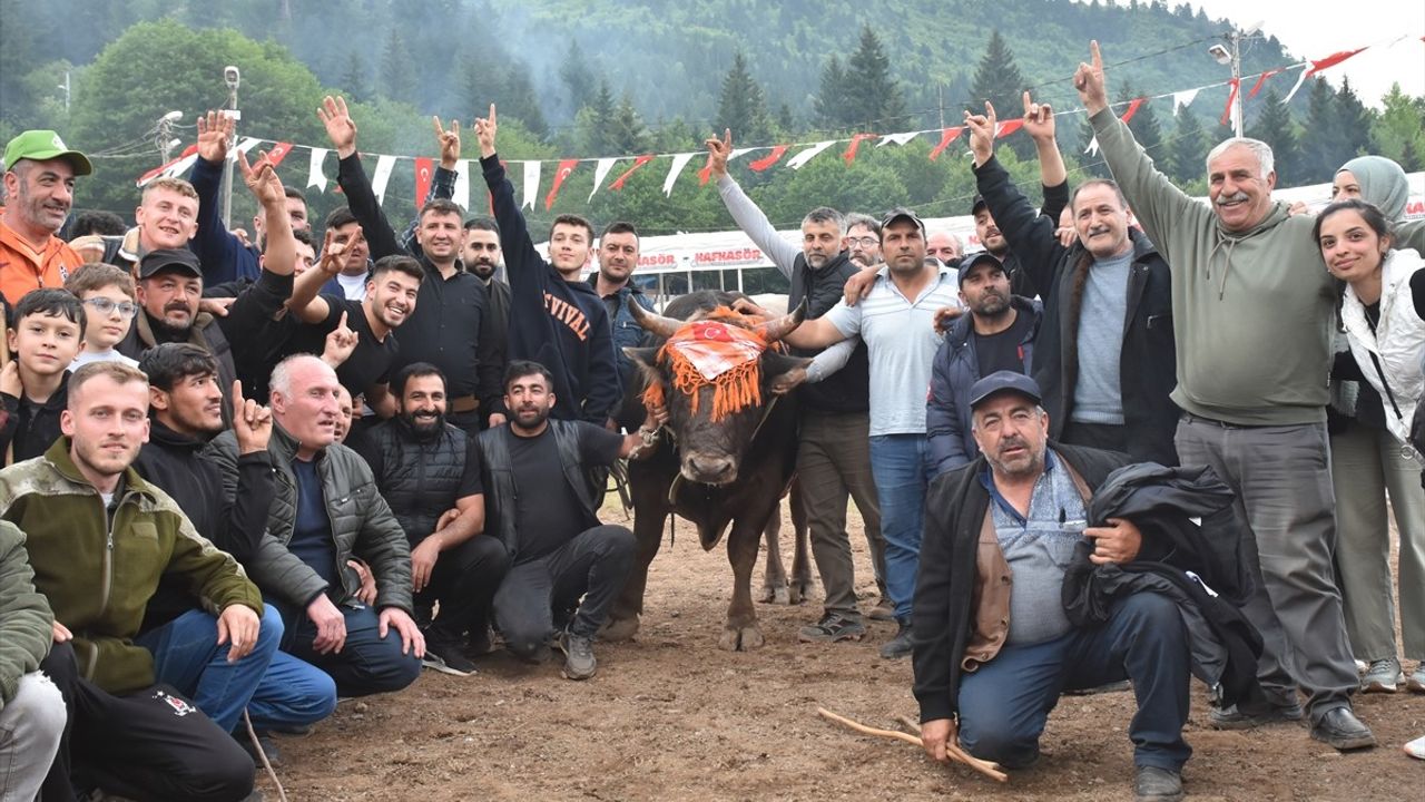 Artvin'de 44. Kafkasör Kültür, Turizm ve Sanat Festivali Boğa Güreşleriyle Sona Erdi