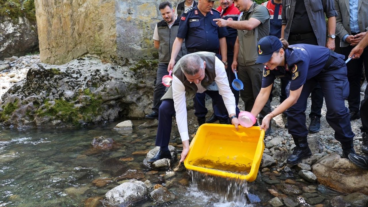 Artvin'de 5 Bin Kırmızı Benekli Alabalık Yavrusunun Salımı Gerçekleşti
