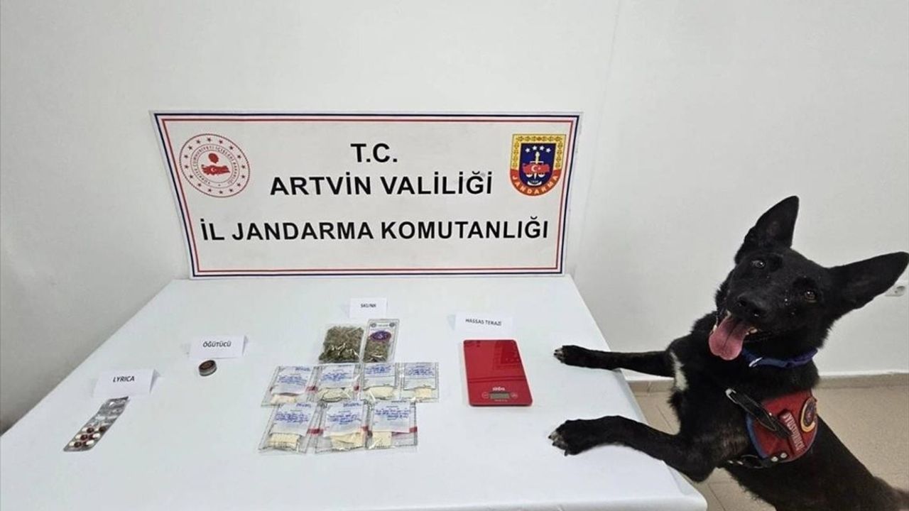 Artvin'de Uyuşturucu Operasyonu: İki Şüpheli Tutuklandı