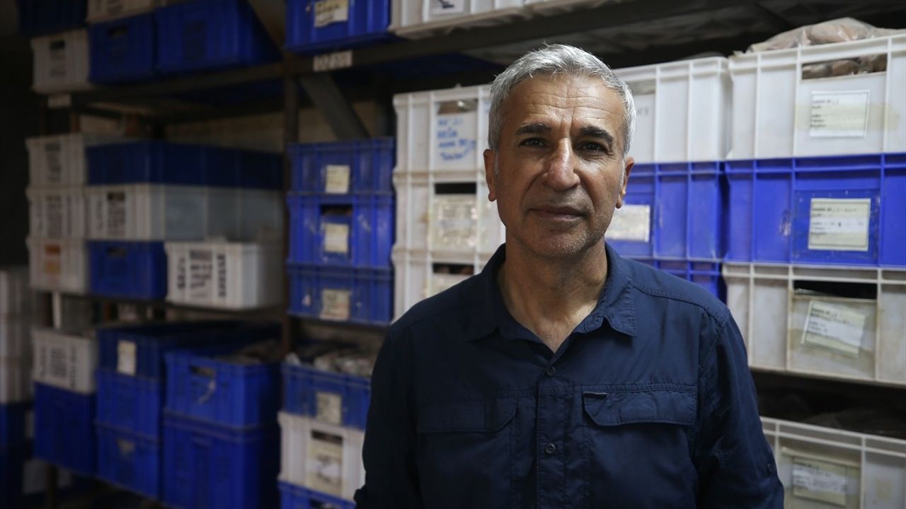 Assos'ta 2 bin 200 Yıllık Tiyatro Restore Edilecek