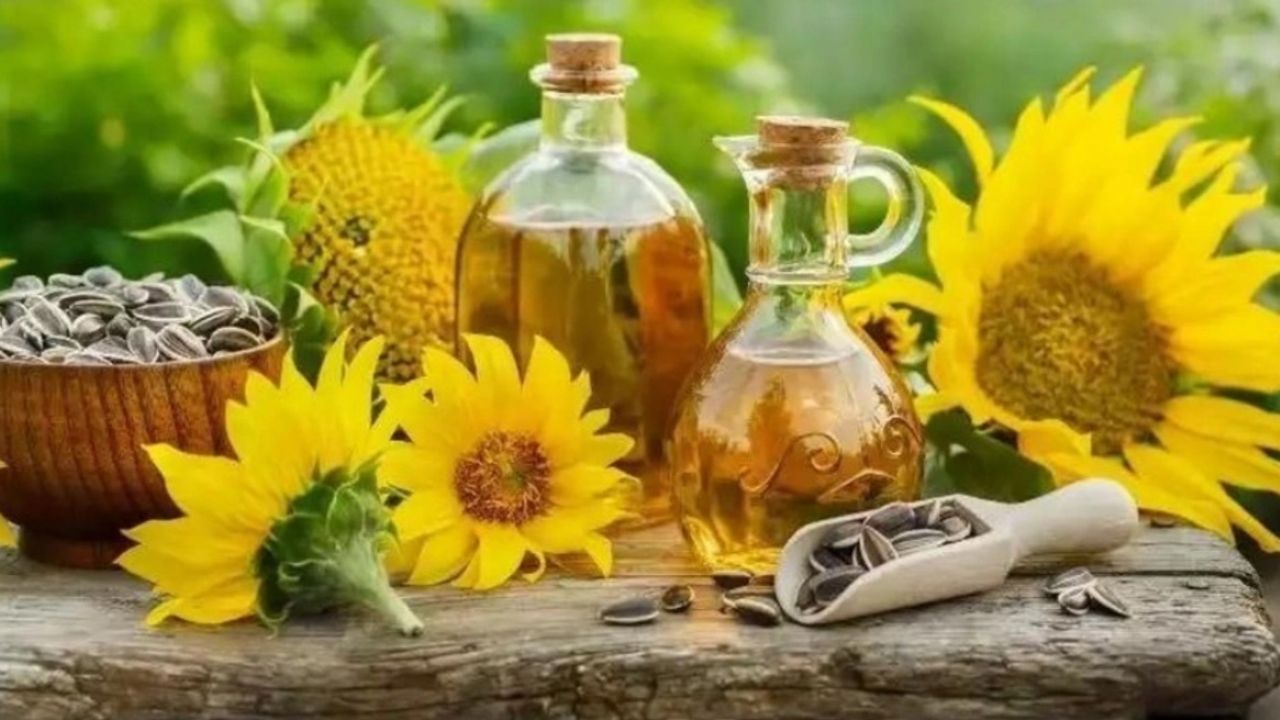 Ayçiçeği yağı fiyatlarına büyük zam! Bayraktar açıkladı
