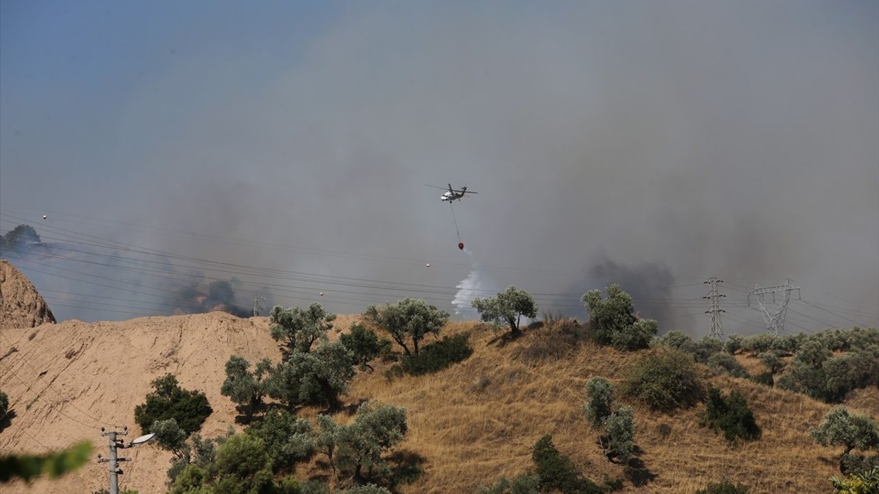 Aydın'da Ağaçlık Alanda Yangın: Müdahaleler Devam Ediyor