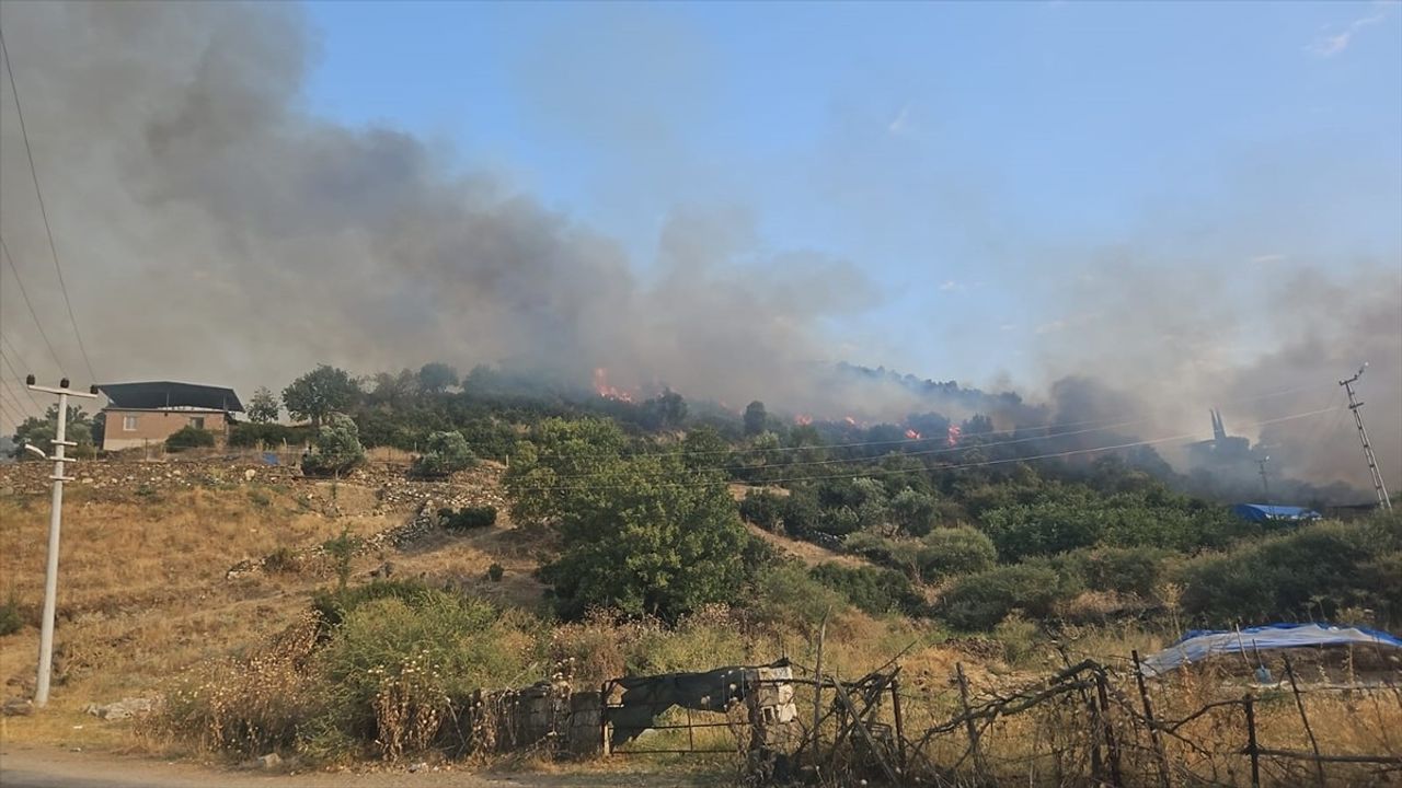 Aydın'da Tarım Alanında Çıkan Yangın Kontrol Altına Alındı