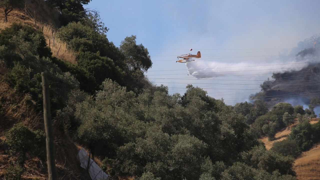 Aydın'daki Orman Yangını Kontrol Altına Alındı