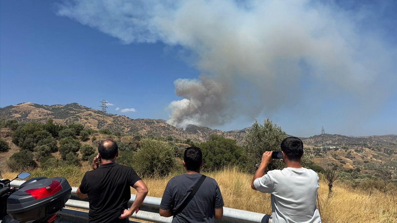 Aydın Efeler'de Orman Yangınına Havadan ve Karadan Müdahale Ediliyor