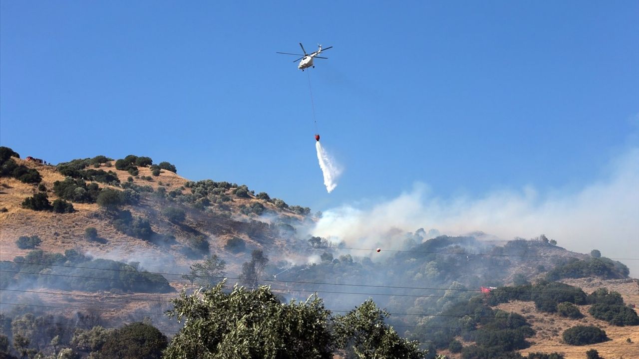 Aydın Efeler'de Zeytinlikte Yangın Kontrol Altına Alındı