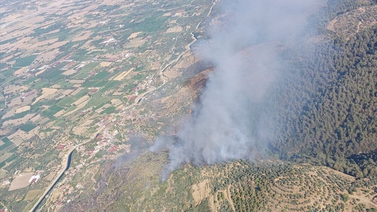 Aydın'ın Bozdoğan İlçesinde Tarım Alanında Yangın Çıktı