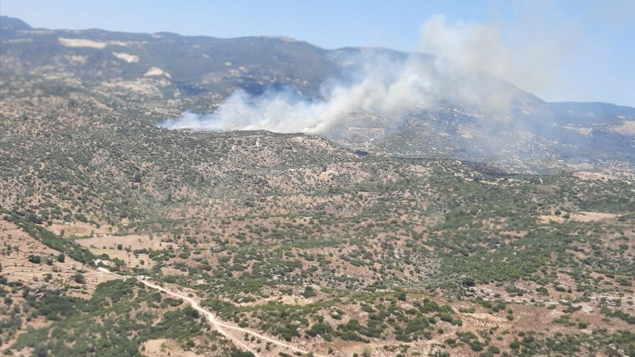 Aydın'da Tarım Alanında Yangın Kontrol Altına Alındı
