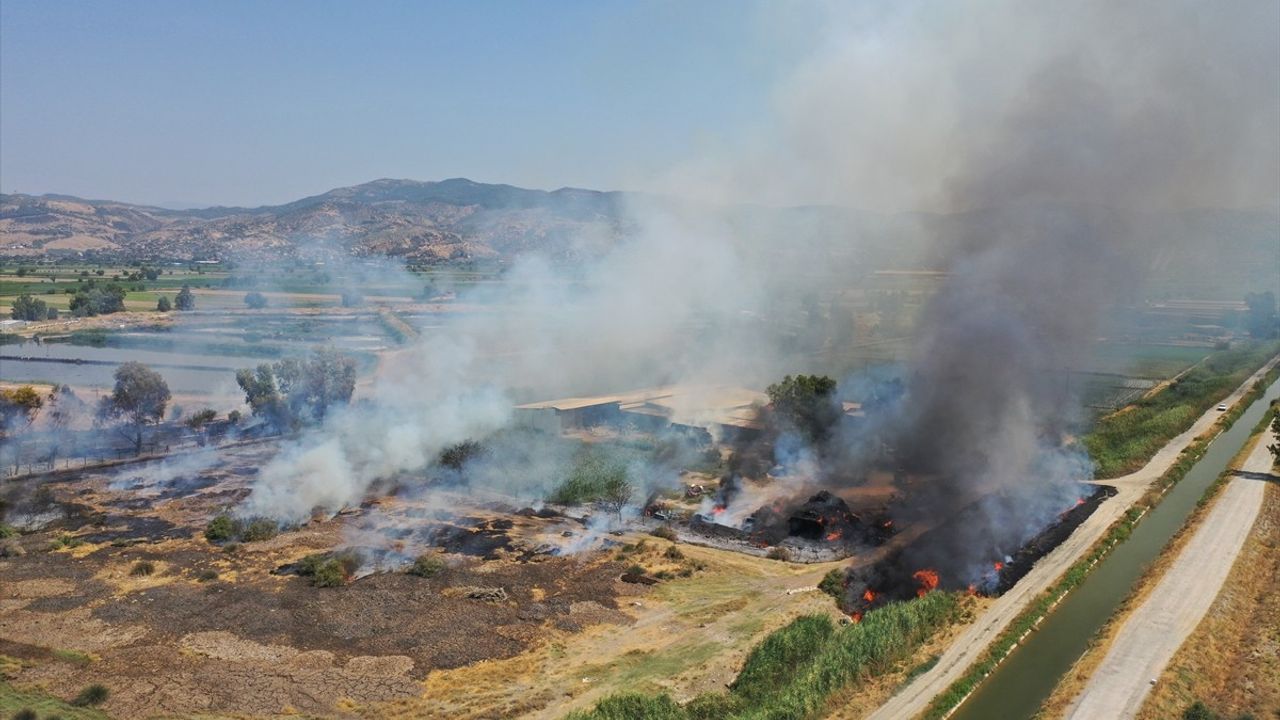 Aydın'ın Efeler İlçesinde Otluk Alanda Yangın Kontrol Altına Alındı