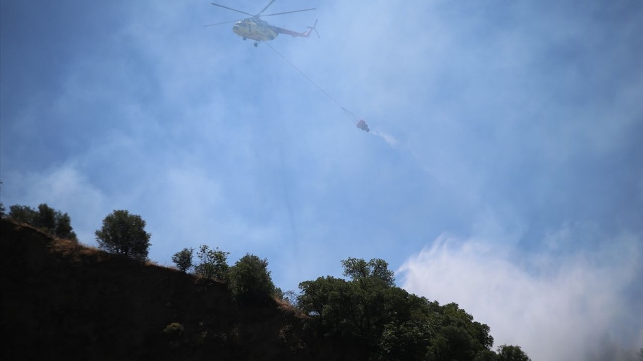 Aydın'ın Efeler İlçesinde Tarım Alanında Yangın Çıktı