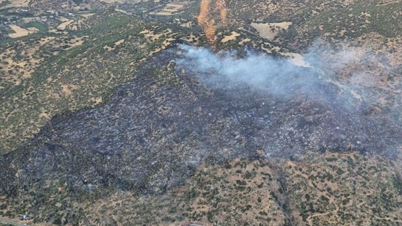 Aydın'ın Nazilli İlçesinde Yangın Kontrol Altına Alındı