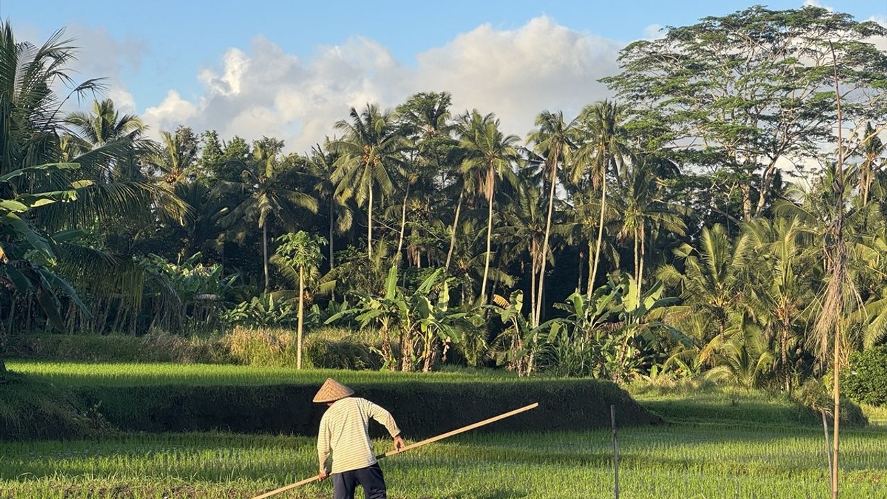 Bali'nin Sosyal Medya Turizmi ve Geleneksel Yaşam Üzerindeki Etkileri