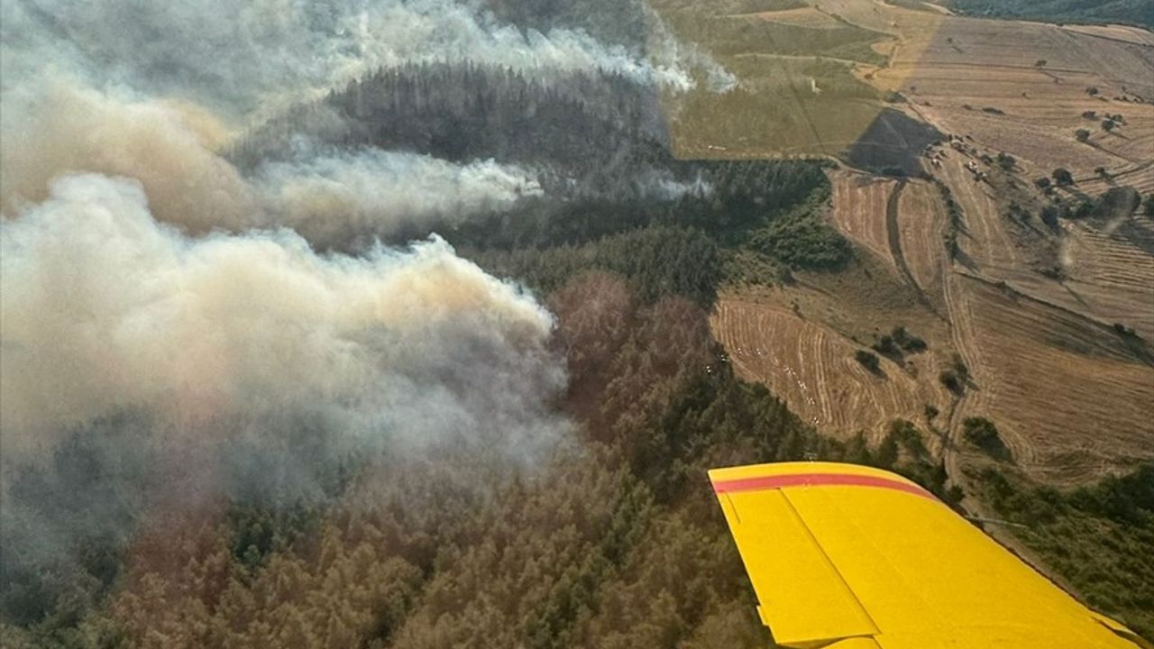 Balıkesir'de Orman Yangını Kontrol Altına Alınmaya Çalışılıyor