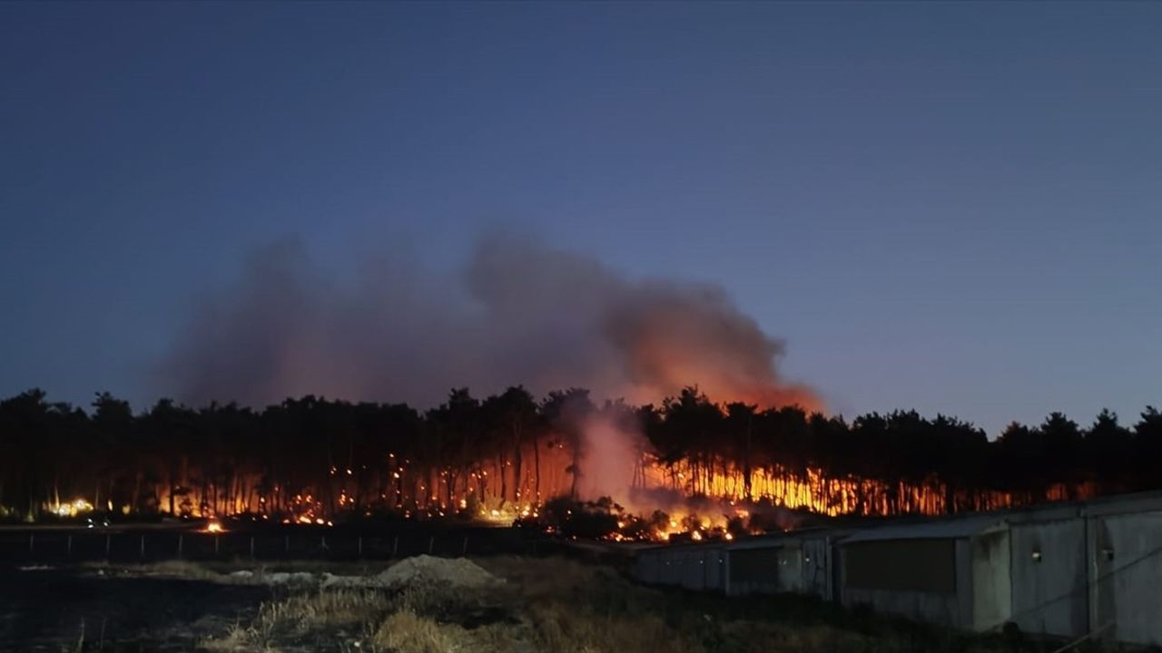 Balıkesir'de Tavuk Çiftliği Yangını: 3 Şüpheli Adliyeye Sevk Edildi