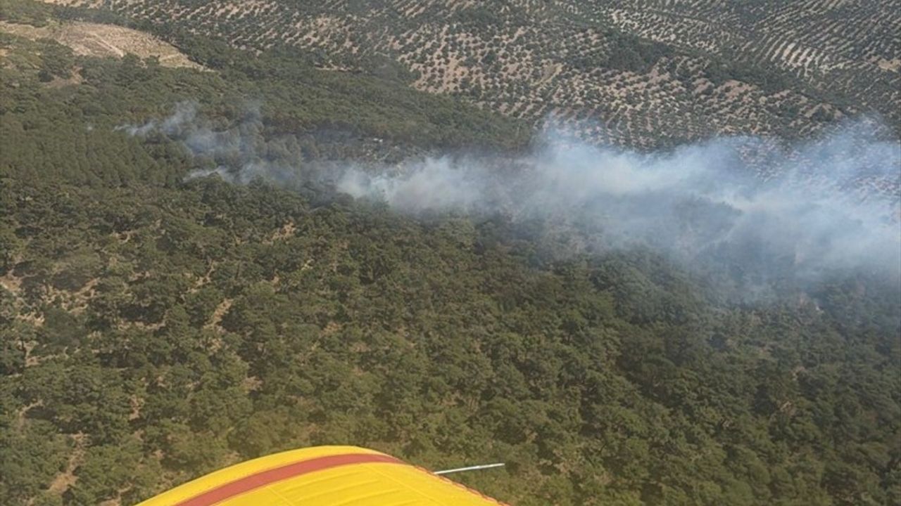 Balıkesir'de Üç İlçede Arazi ve Orman Yangınlarına Müdahale Ediliyor