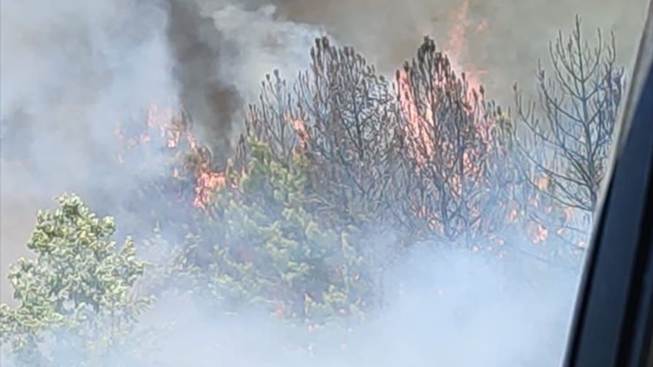 Balıkesir'deki Orman Yangını Kontrol Altına Alınmaya Çalışılıyor