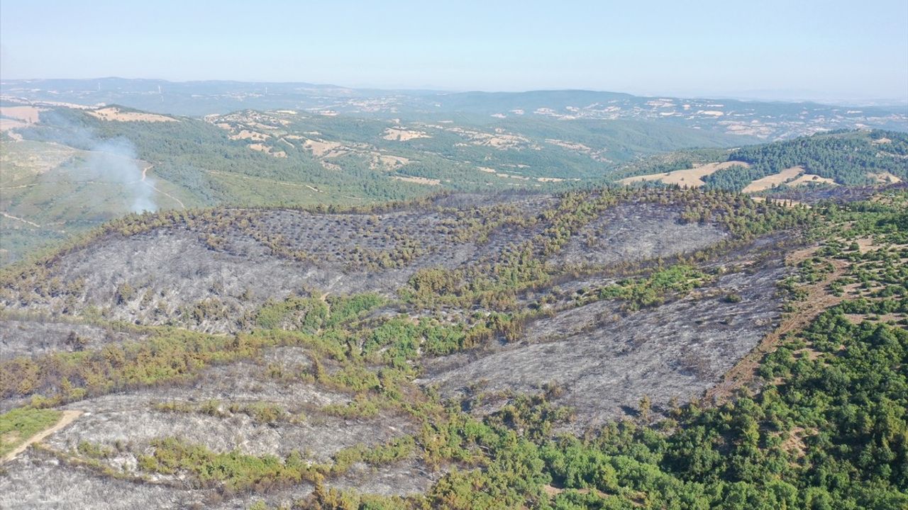 Balıkesir'deki Orman Yangınına Müdahale Devam Ediyor