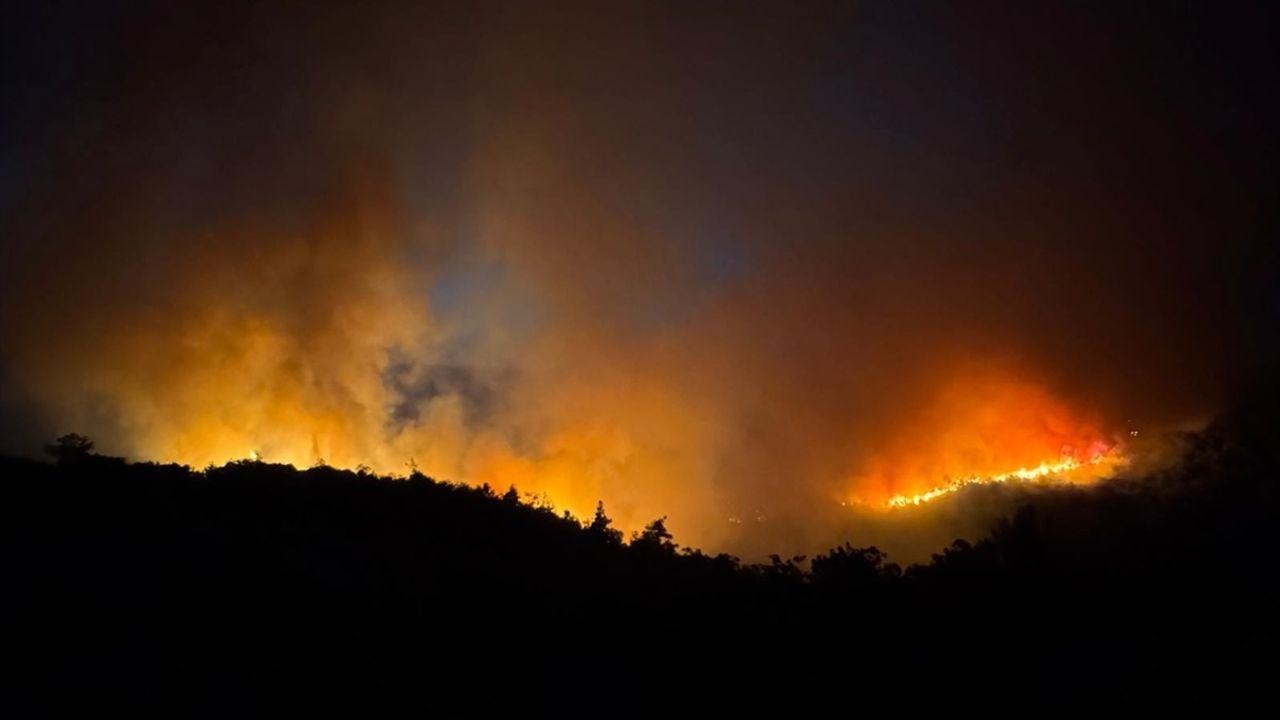 Balıkesir'deki Orman Yangınına Müdahale Devam Ediyor