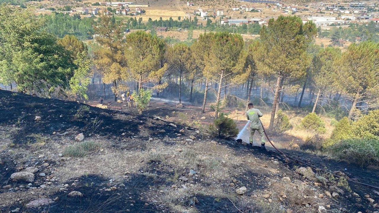 Balıkesir Dursunbey'deki Orman Yangını Kontrol Altına Alındı