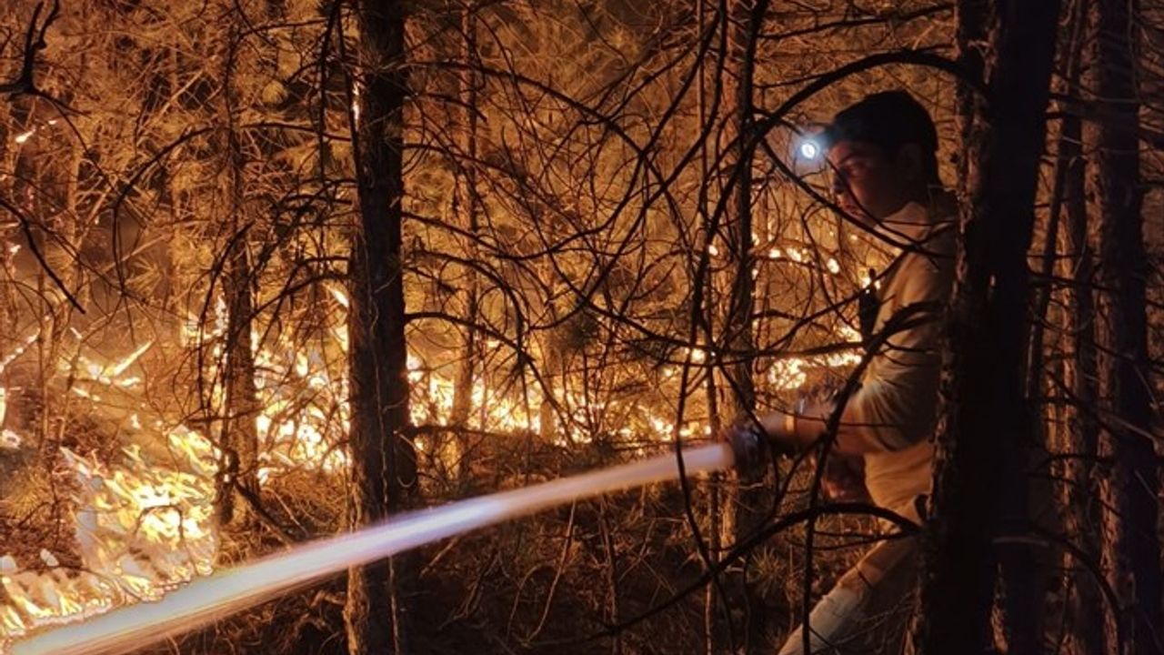 Balıkesir Sındırgı'daki Orman Yangınına Müdahale Devam Ediyor