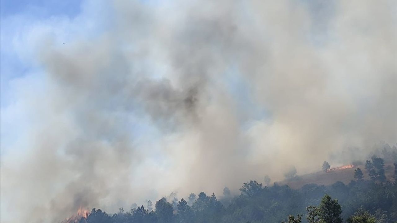 Balıkesir Sındırgı'daki Orman Yangınına Müdahale Devam Ediyor