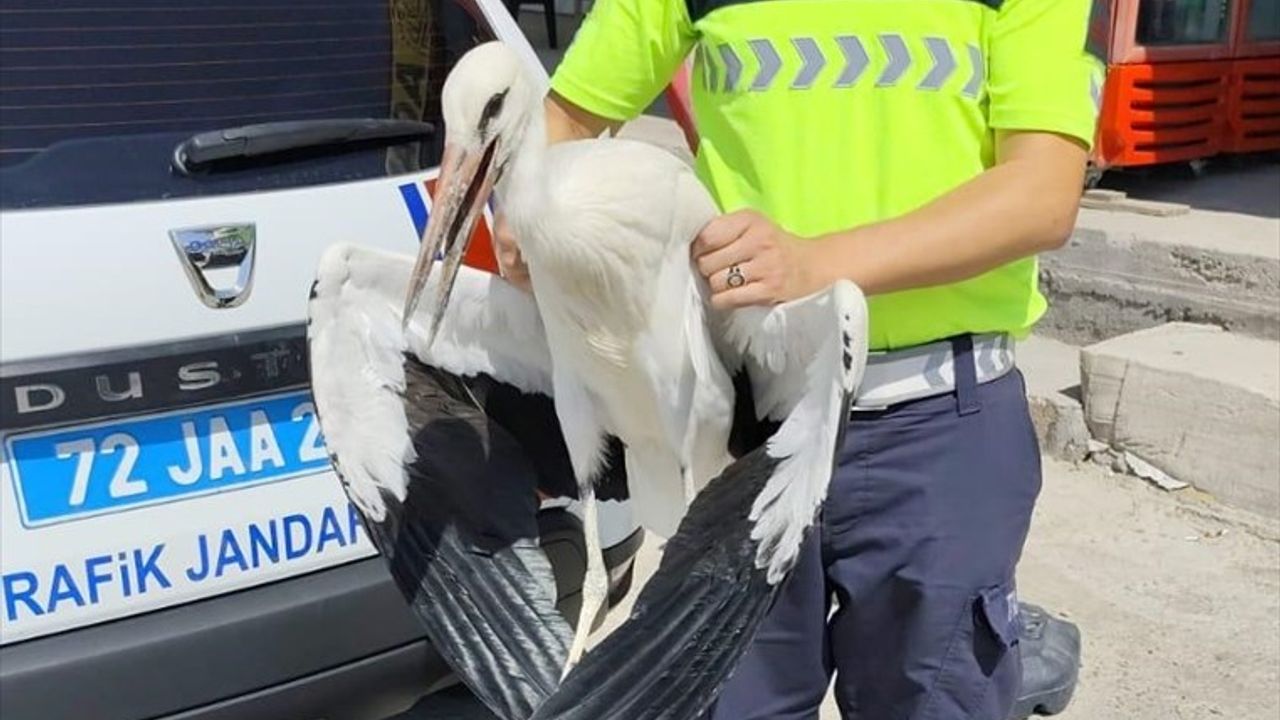 Batman'da Yaralı Leylek İçin Tedavi Süreci Başlatıldı