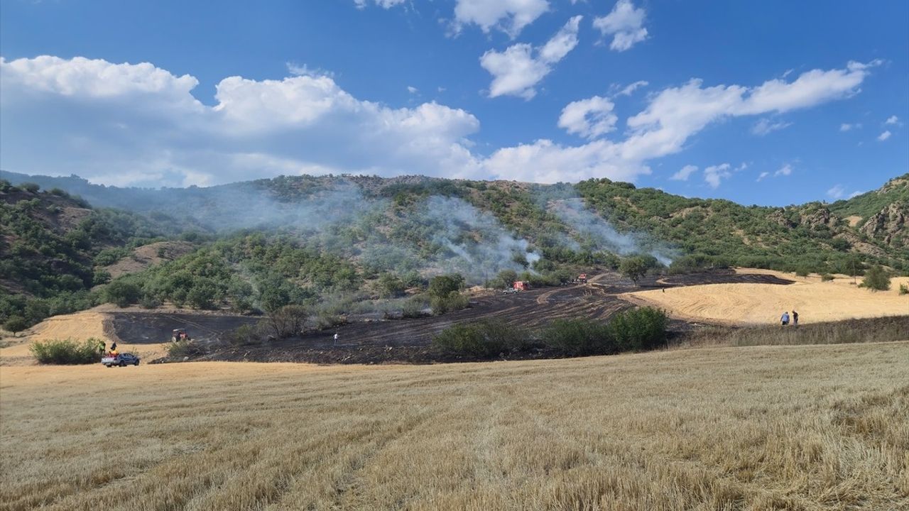 Bayat'ta Anız Yangını Ormana Sıçradı, Yangın Kontrol Altına Alındı