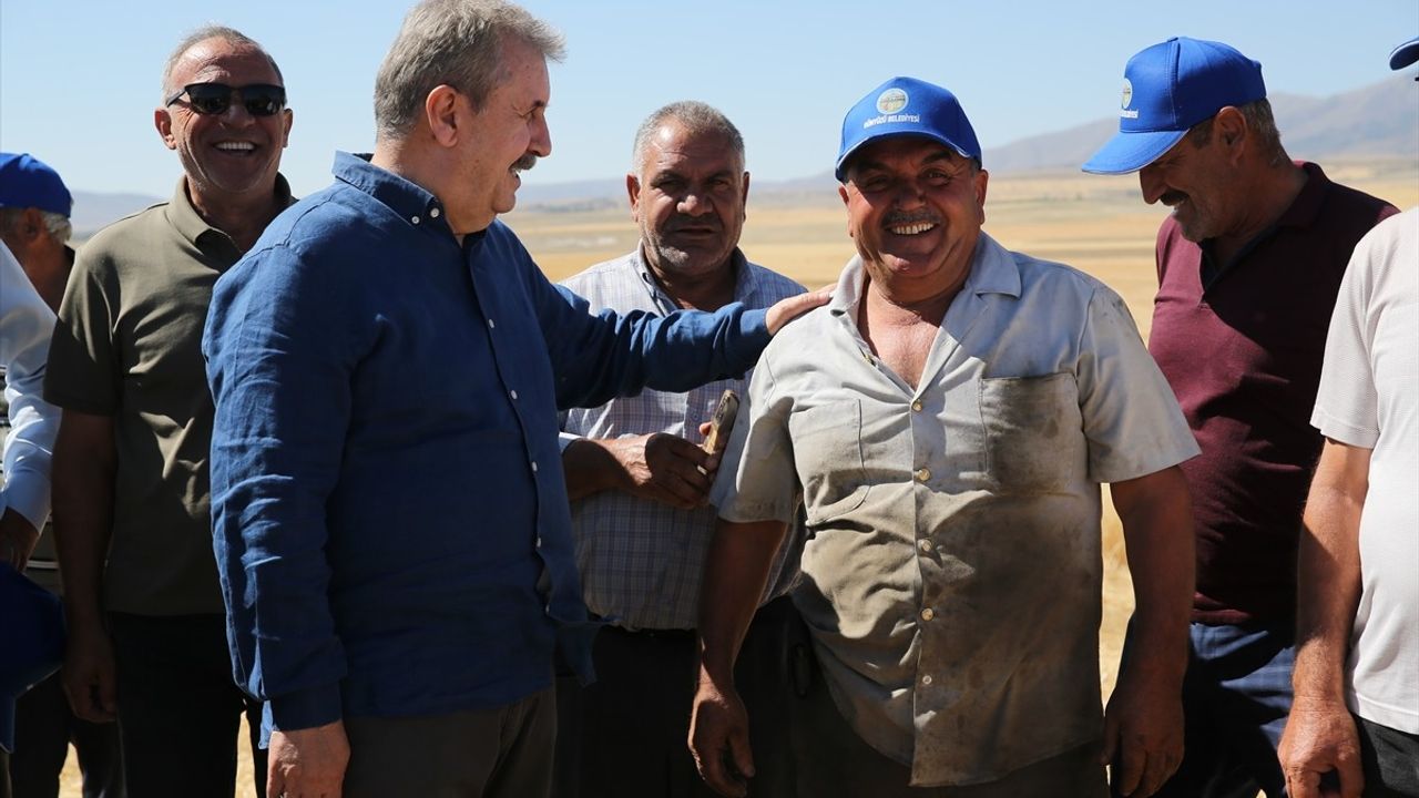 BBP Genel Başkanı Mustafa Destici, Eskişehir'de Buğday Hasadı Yaptı