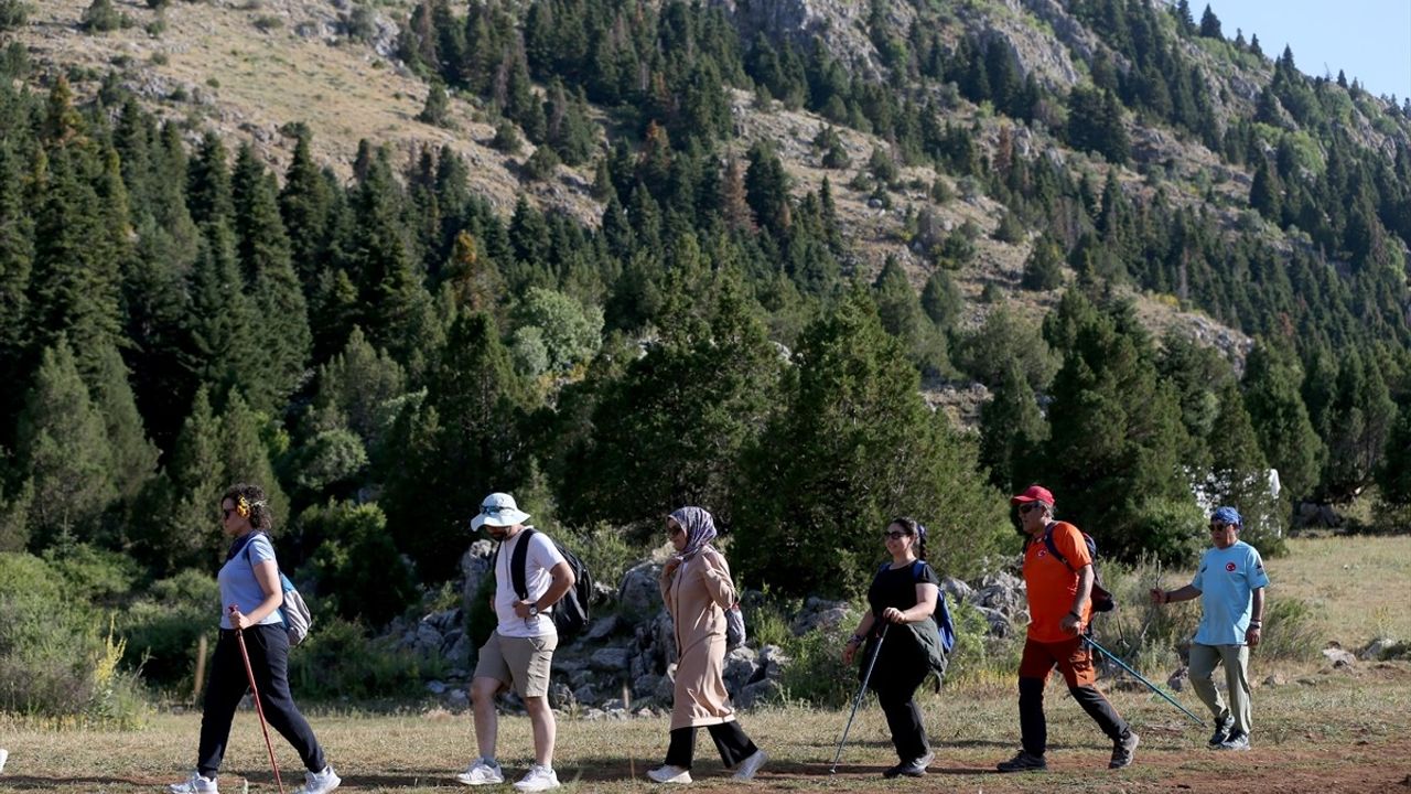 Berçin Yaylası: Kayseri'nin Doğaseverlerin Yeni Gözdesi