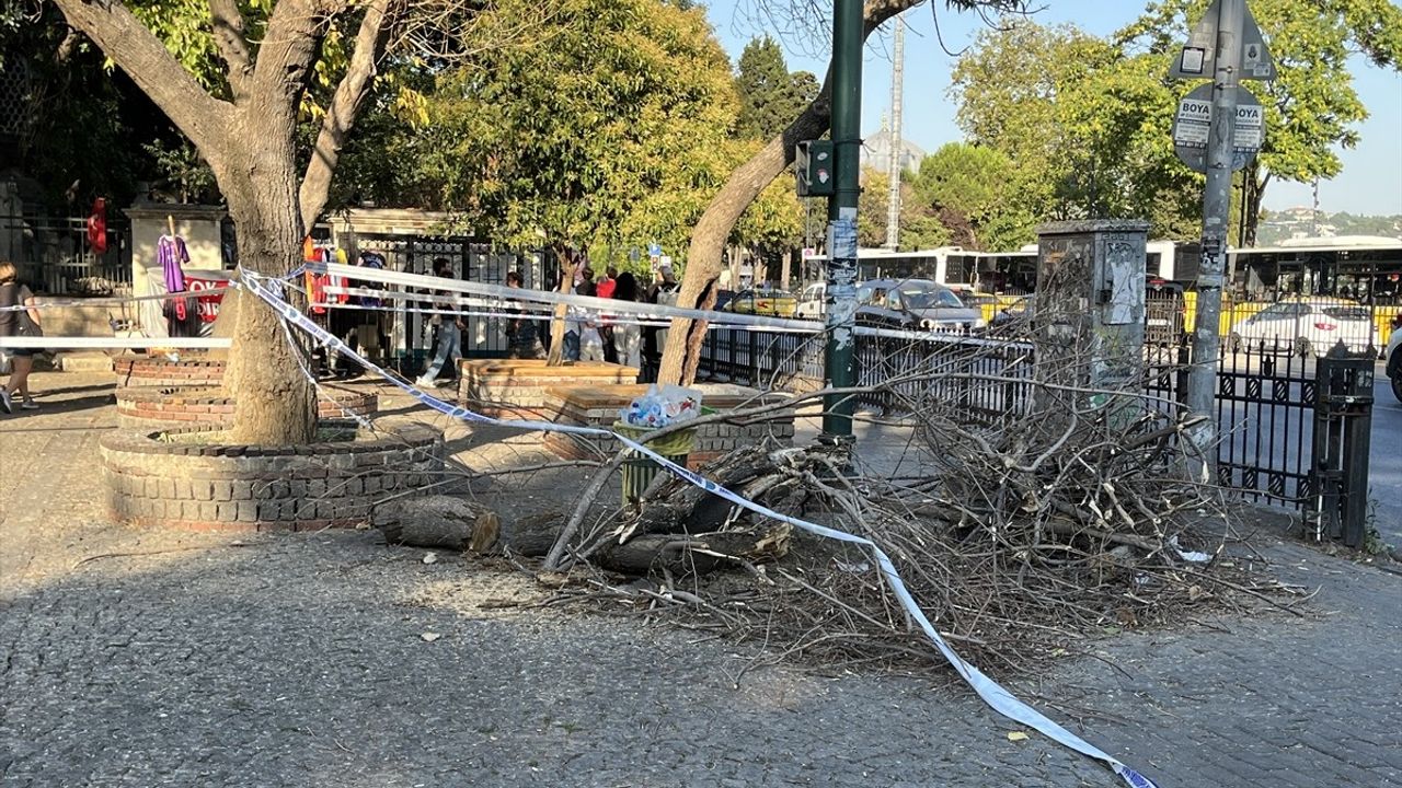 Beşiktaş'ta Ağaç Dalı Düşmesi Sonucu 3 Kişi Yaralandı