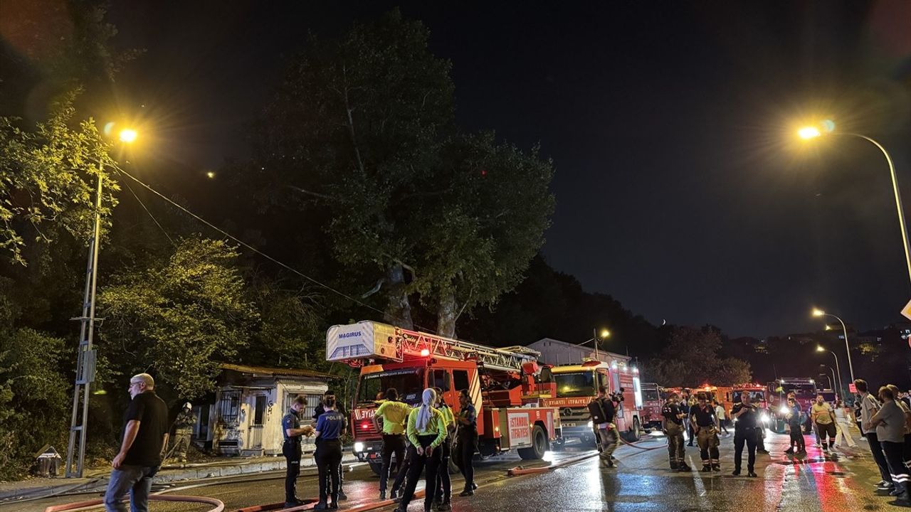 Beykoz'da Ormanlık Alanda Çıkan Yangın Kontrol Altına Alındı