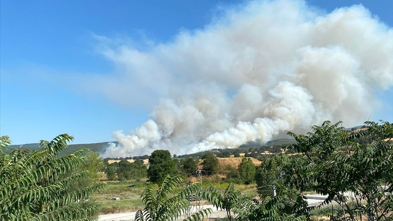 Bilecik'te Anız Yangını Ormana Sıçradı, Müdahale Başlatıldı