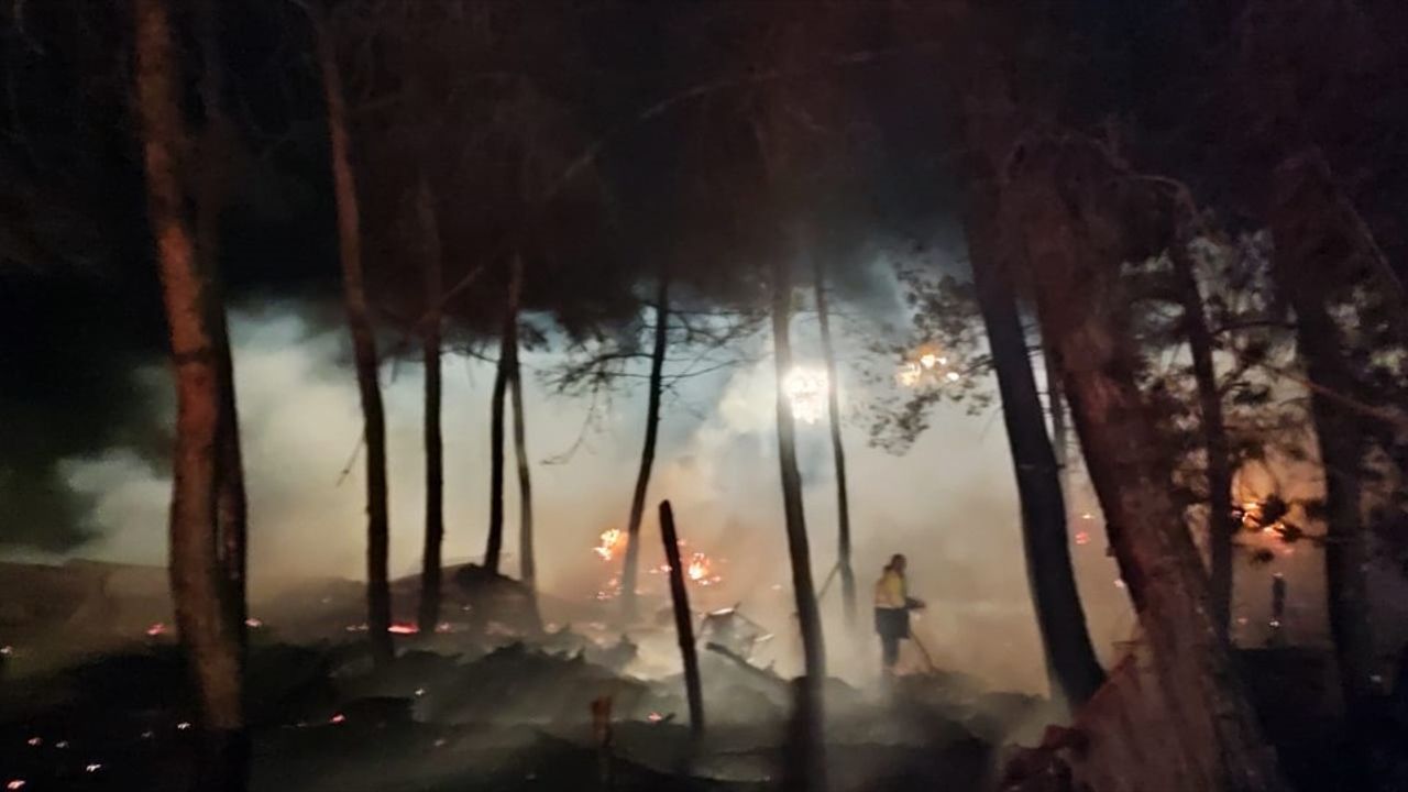 Bilecik'te Çiftlik Yangını Ormanlık Alana Sıçradı, 95 Hayvan Telef Oldu