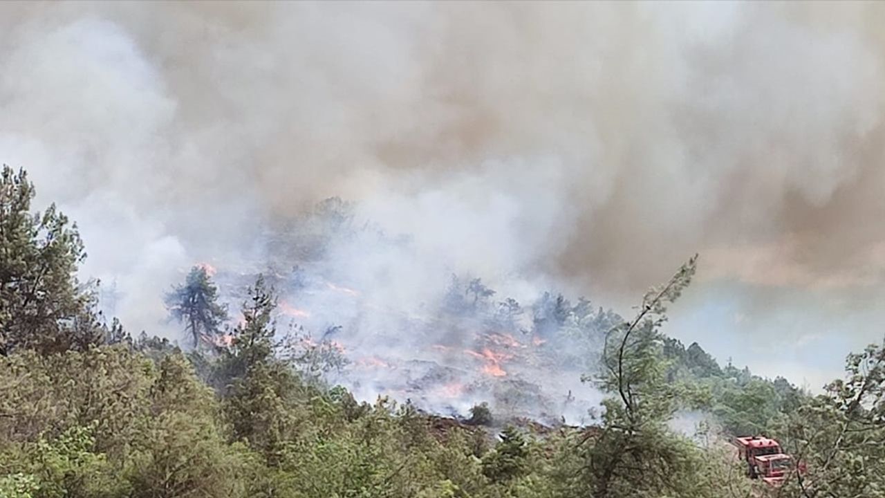 Bilecik'te Orman Yangını Kontrol Altına Alınmaya Çalışıyor