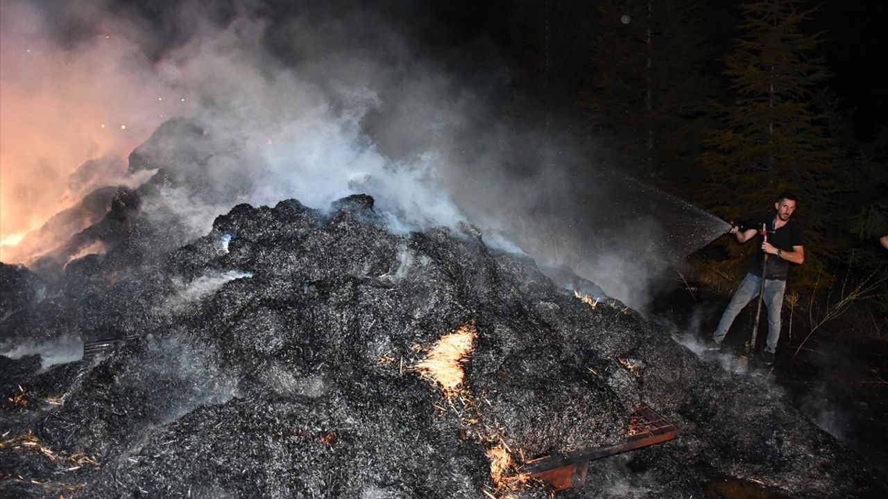 Bilecik'te Seyir Halindeki Traktörün Römorkundaki Saman Balyaları Yandı