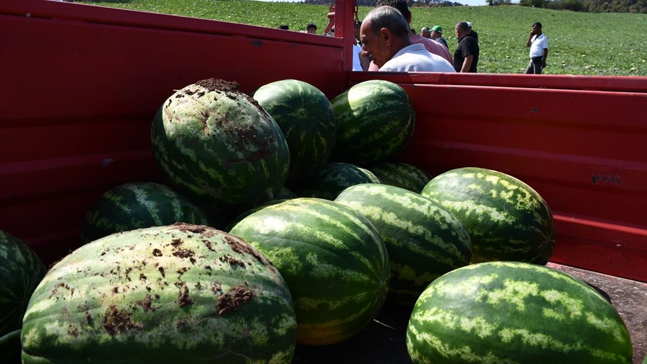Bilecik'te Yangın Sonrası Çiftçilere Destek: Karpuzlar Türkiye Tarım Kredi Kooperatifleri Tarafından Alındı