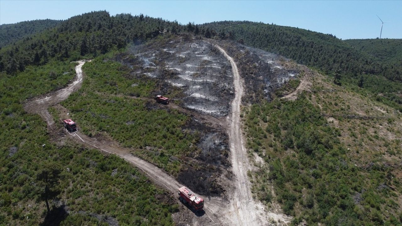 Bilecik'teki Orman Yangını Kontrol Altına Alındı
