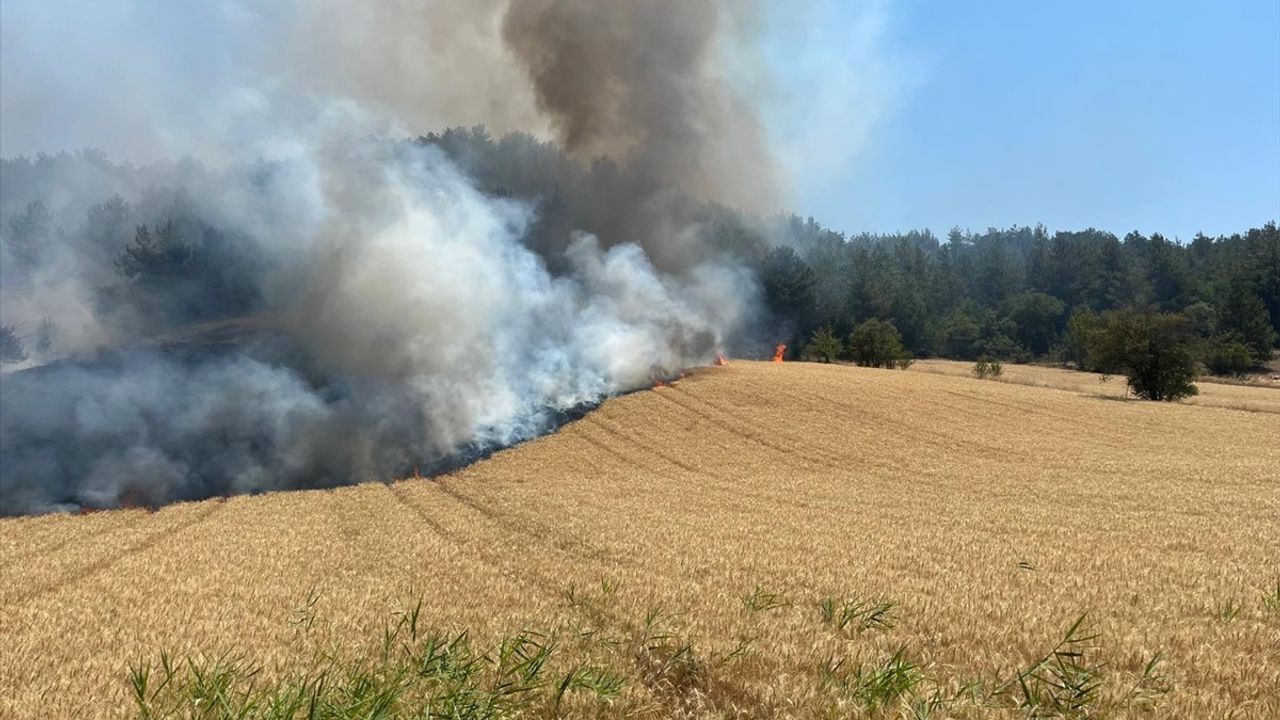 Bilecik'teki Orman Yangınına Hızlı Müdahale