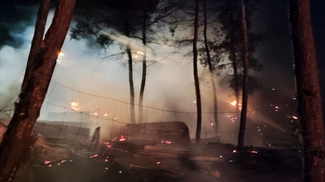 Bilecik'teki Yangın Kontrol Altına Alındı