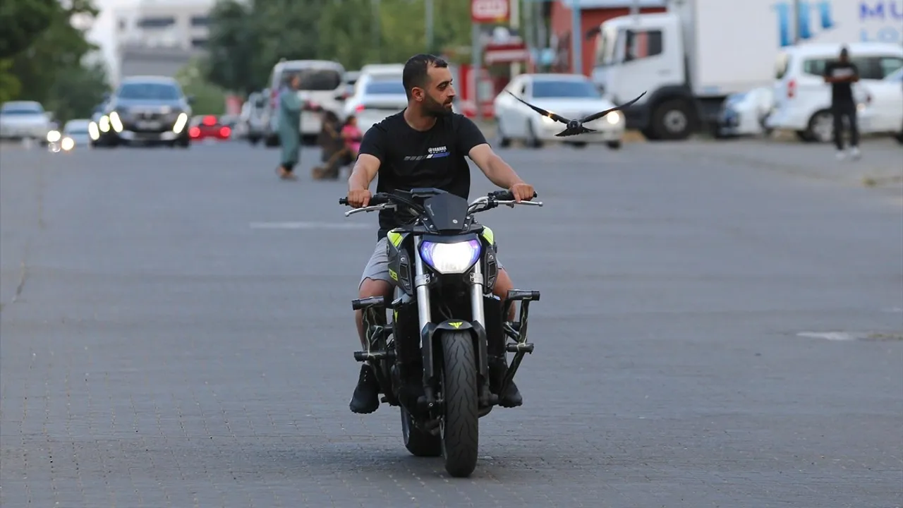 Bingöl'de Motosiklet Teknisyeninin Karga Dostluğu: 'Şimşek'