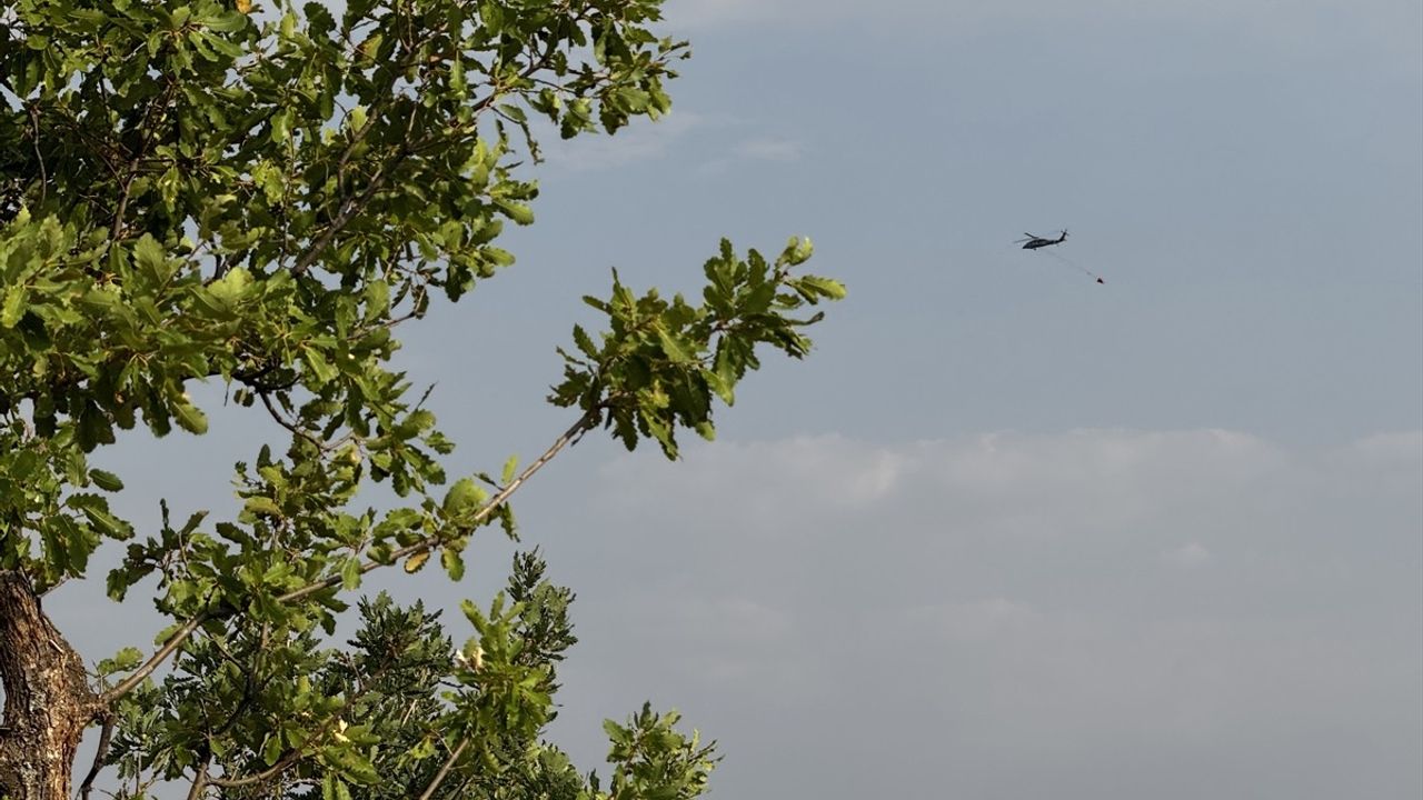 Bingöl'de Orman Yangınlarına Havadan ve Karadan Müdahale