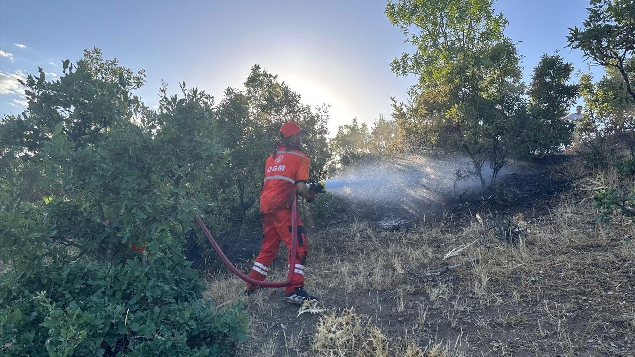 Bingöl'deki Orman Yangını Kontrol Altına Alındı