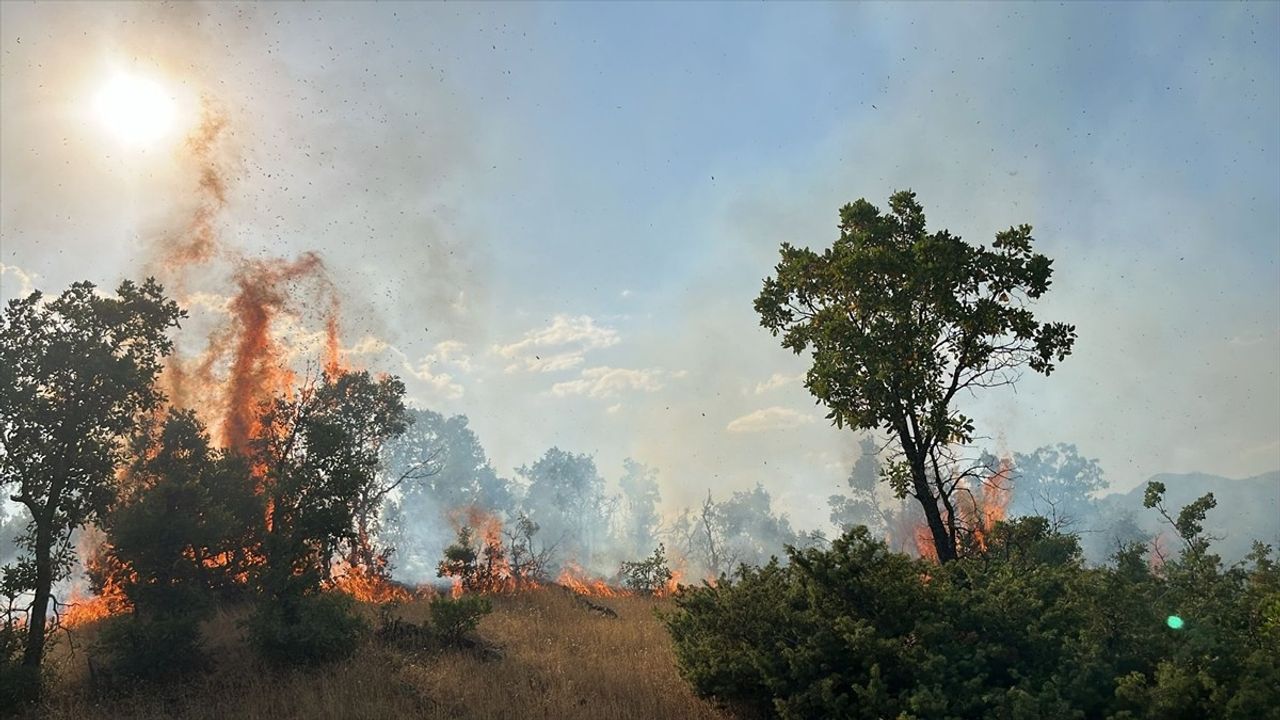Bingöl'deki Orman Yangınları Kontrol Altına Alındı