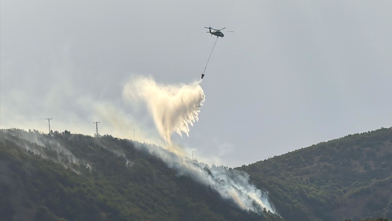 Bingöl'deki Orman Yangınları Kontrol Altına Alındı
