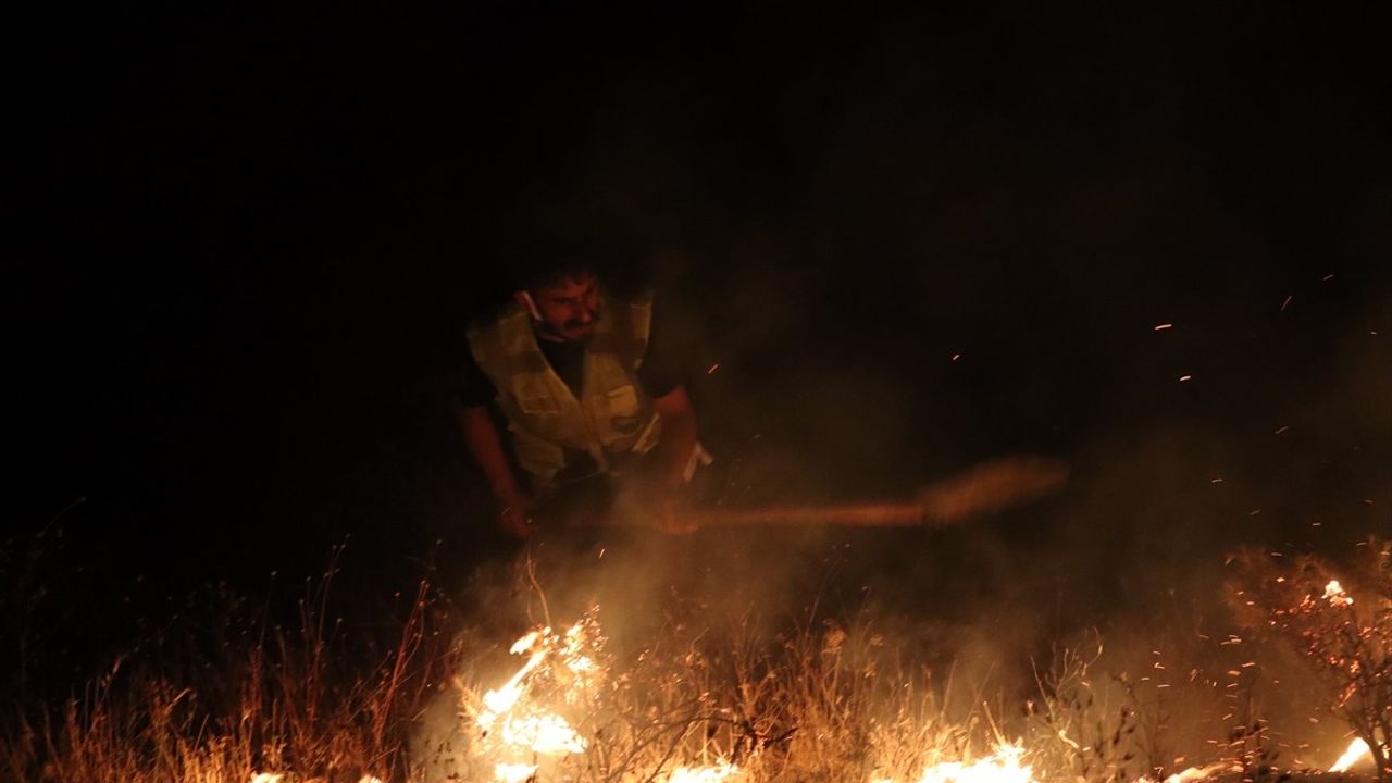 Bingöl'ün Genç İlçesinde Orman Yangını Kontrol Altına Alındı