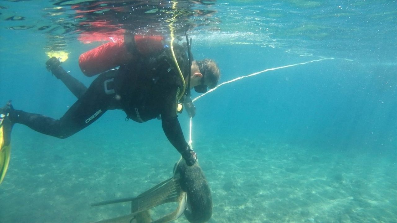 Bodrum'da Gönüllü Dalgıçlar 168 Kilogram Atık Topladı