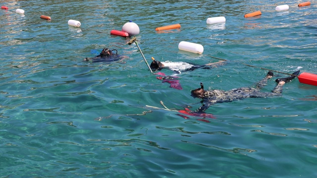 Bodrum'da Gönüllü Dalgıçlardan Deniz Dibi Temizliği